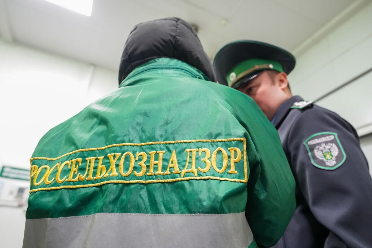     / Источник: © ИЗВЕСТИЯ/Эдуард Корниенко