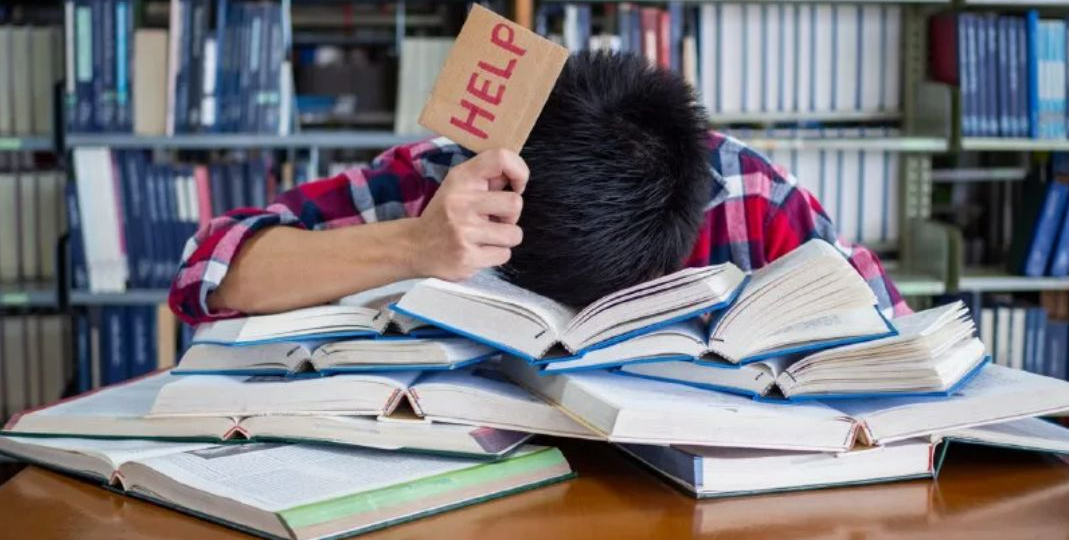 "Ученик читает учебник и не понимает, о чём идёт речь. Это нормально? Специально идиотов воспитывают"? Спрашивает читатель.