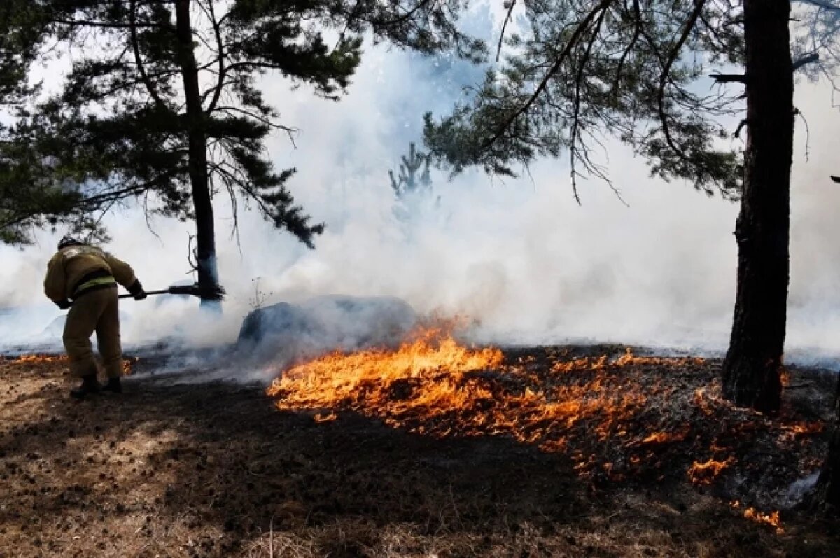    Тушить лесные пожары в Иркутской области в 2026 году будут 6 тыс. человек