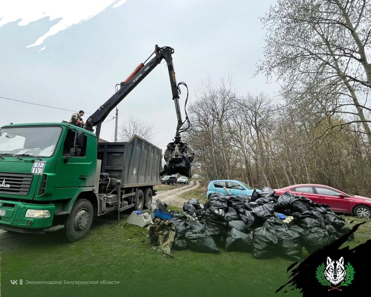    Фото: пресс-служба Экоохотнадзора Белгородской области