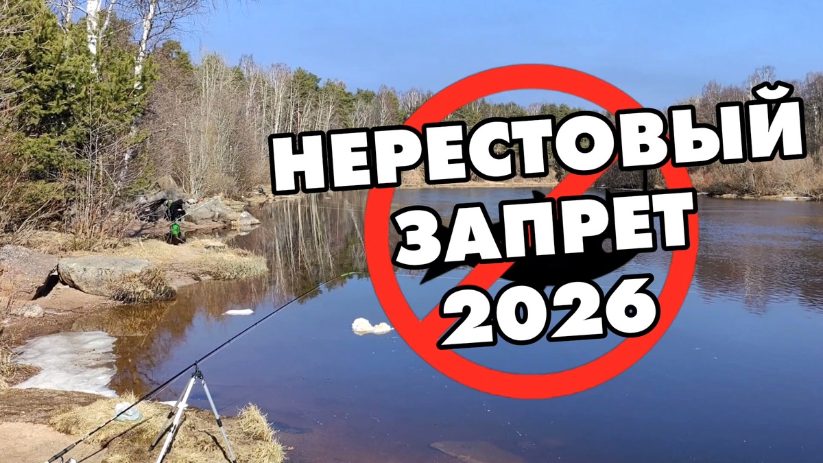 Нерестовый запрет 2026 #нерест, #срокинереста, #гдеможноловитьрыбу
