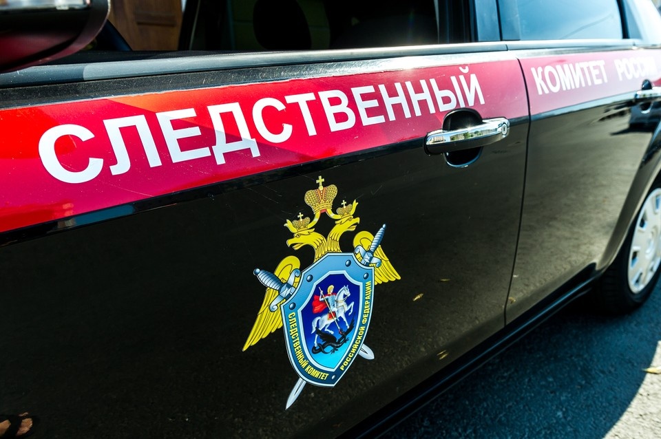    СК завел дело. Светлана МАКОВЕЕВА
