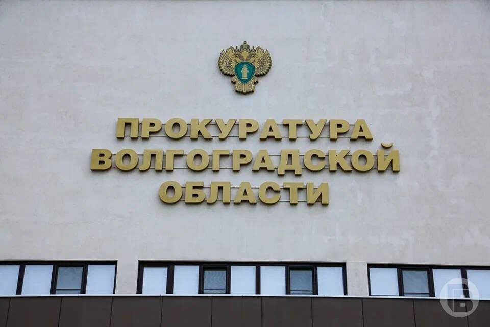    фото: Дмитрий Рогулин / "Городские вести"