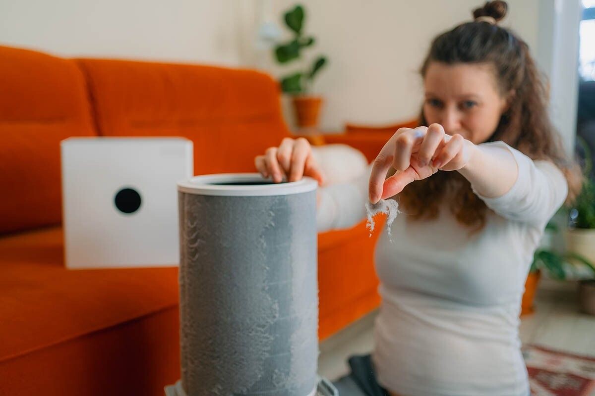 Живут в каждом доме. Источник: Elena Shishkina / Shutterstock / FOTODOM📷
