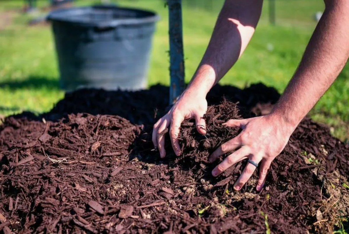 Источник фото: nur.kz