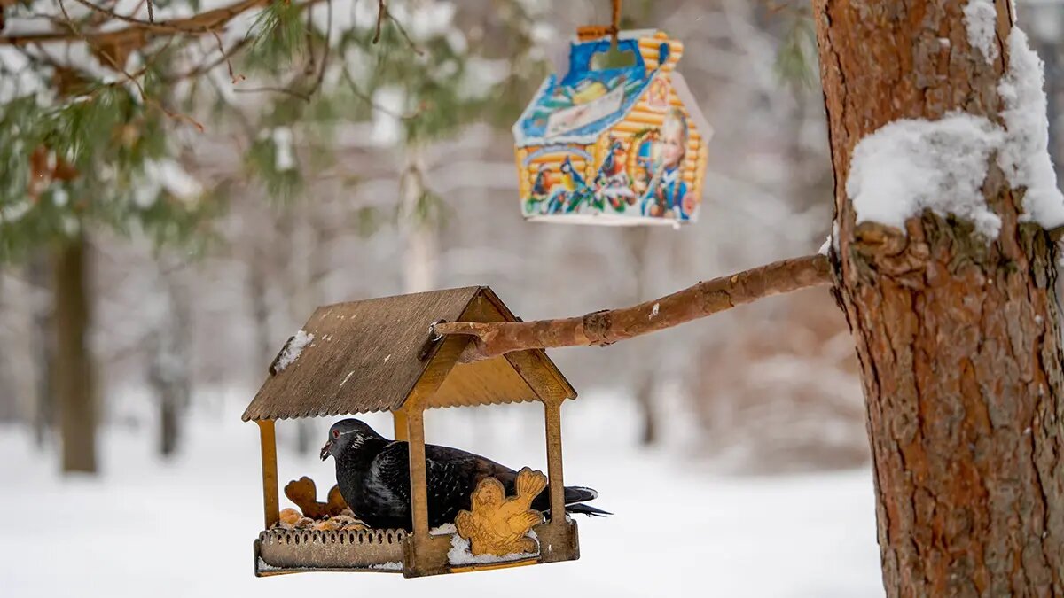    Источник: vm.ru/ Богдан Жуков