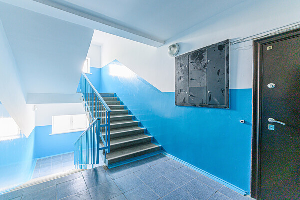 Shutterstock/evgeniykleymenov   📷