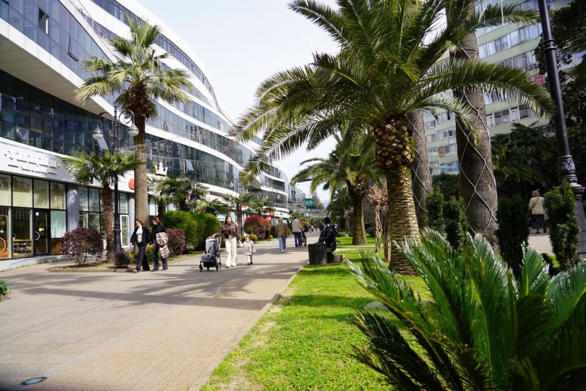 Фото: Telegram/Сочи Официальный  📷
