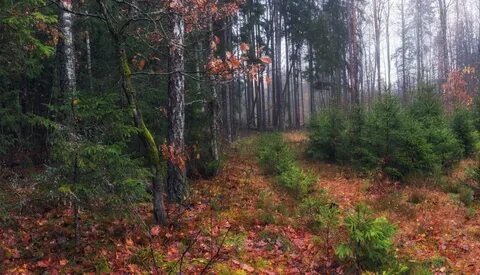 фото из интернета