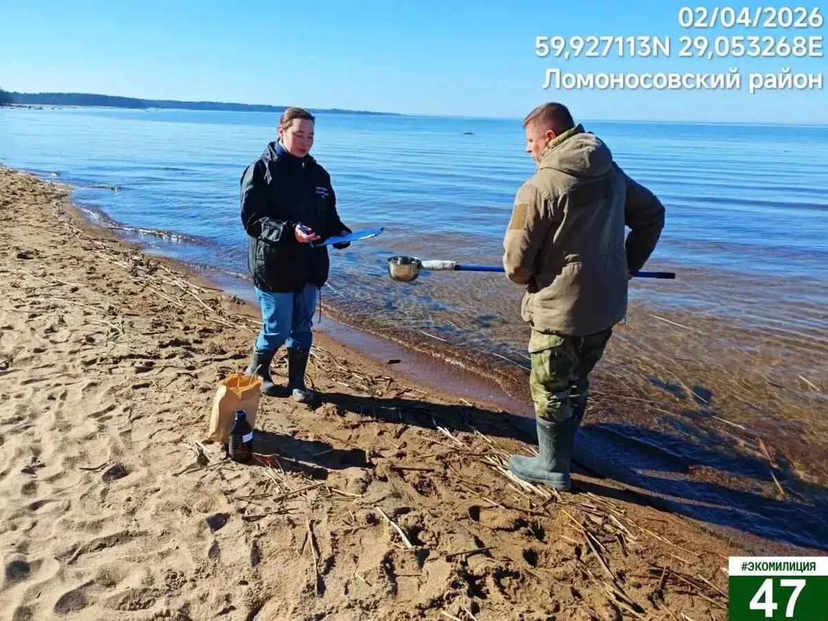    Фото: пресс-служба Эконадзора Ленобласти