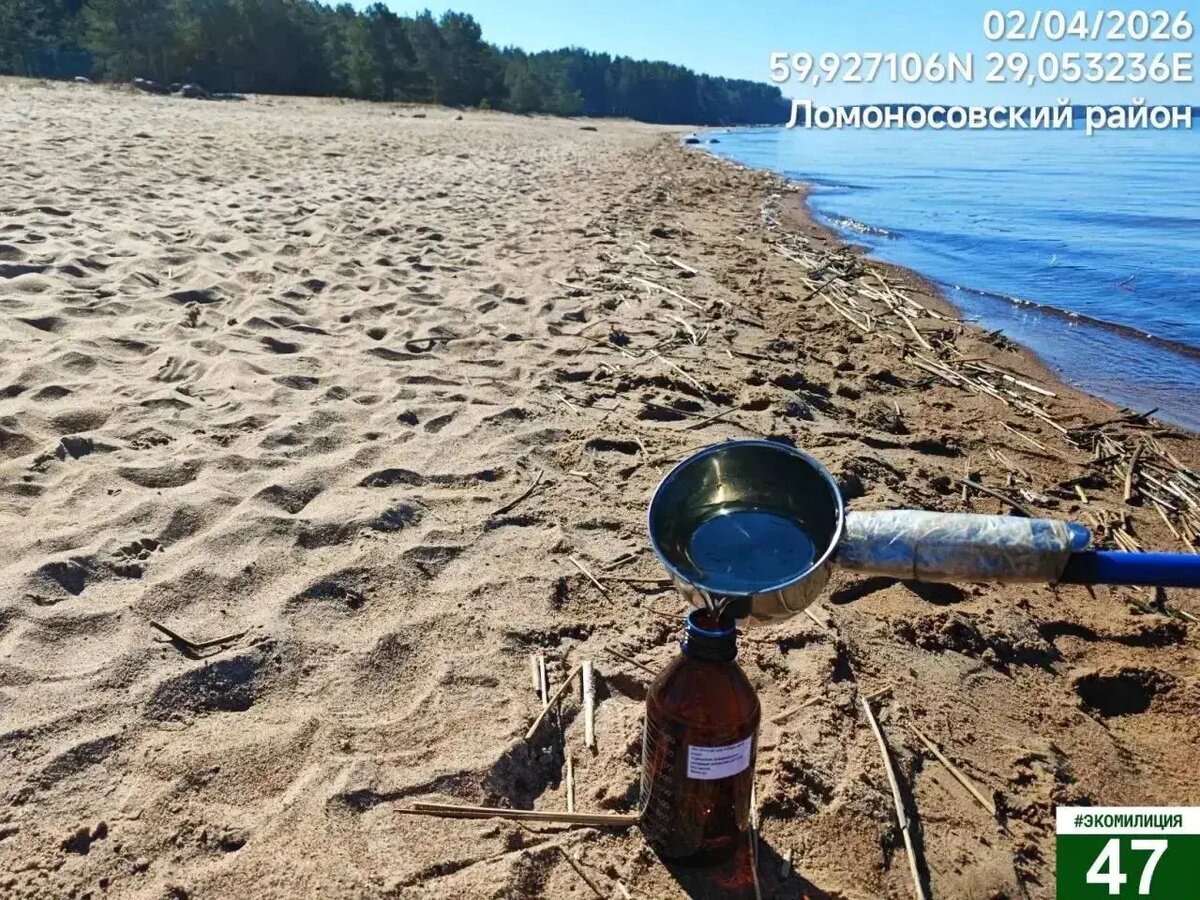    Фото: пресс-служба Эконадзора Ленобласти
