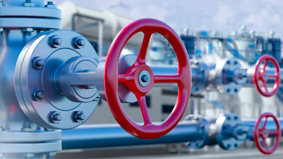    Shutterstock/FOTODOM