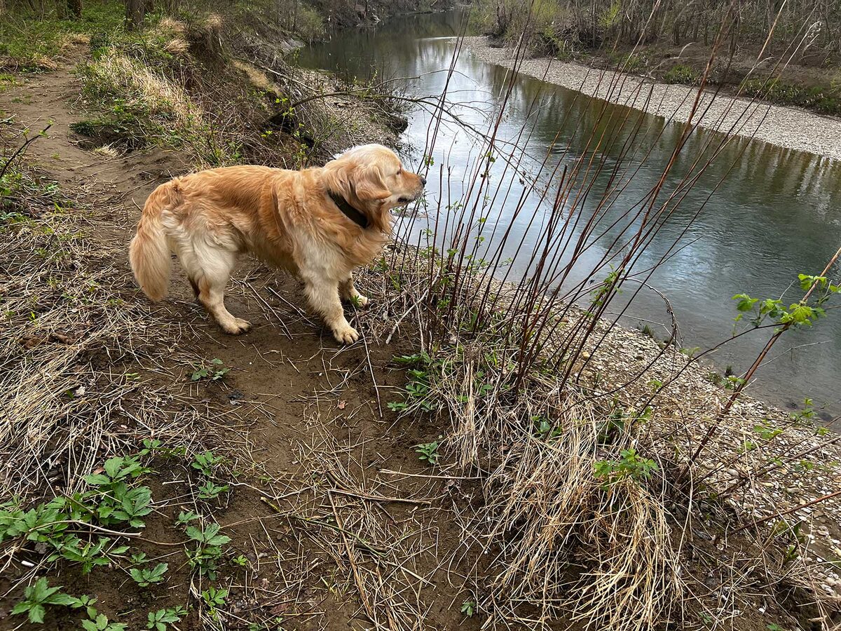 Мы с Барни у реки