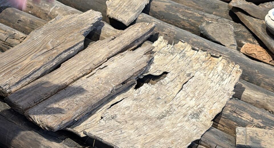    Мария Шматкова