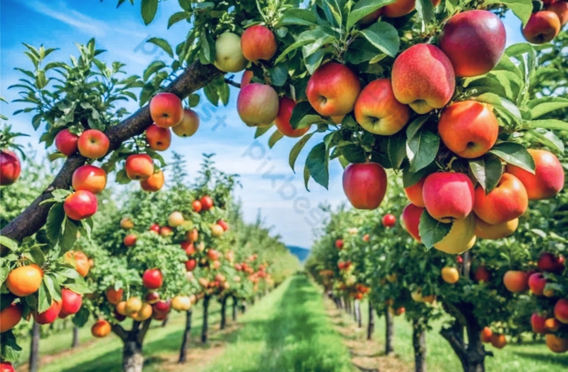 Фото для иллюстрации из свободного доступа в интернете