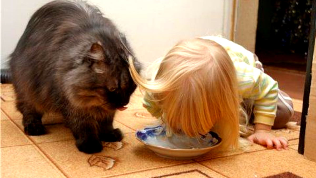 Да ты языком почерпывай, а не в себя втягивай