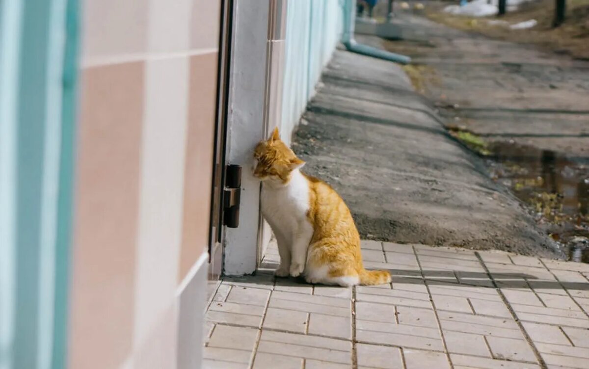    Погода в Ижевске на день: 1 апреля ждем +15°С и небольшой дождь