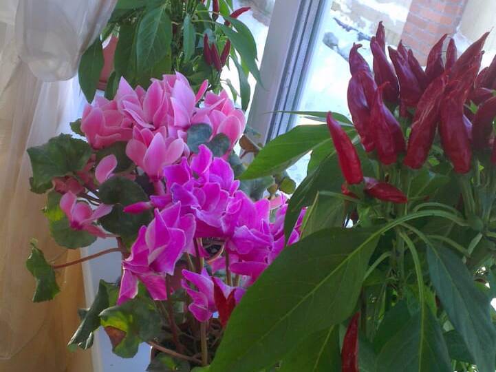 За столько лет такое впервые!