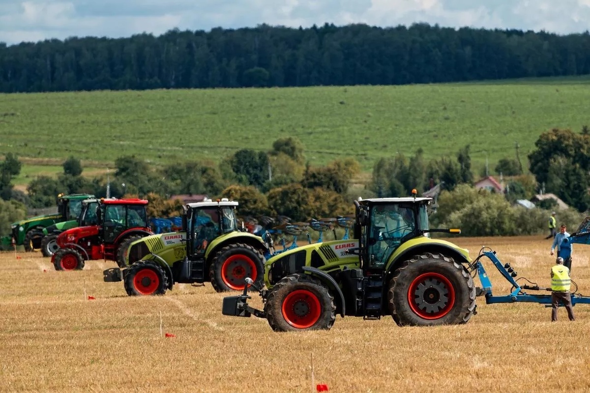    Фото: Министерство сельского хозяйства и продовольствия Московской области