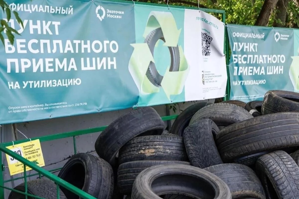    Решить проблему и помочь экологии мегаполиса призваны «Экоточки Москвы»