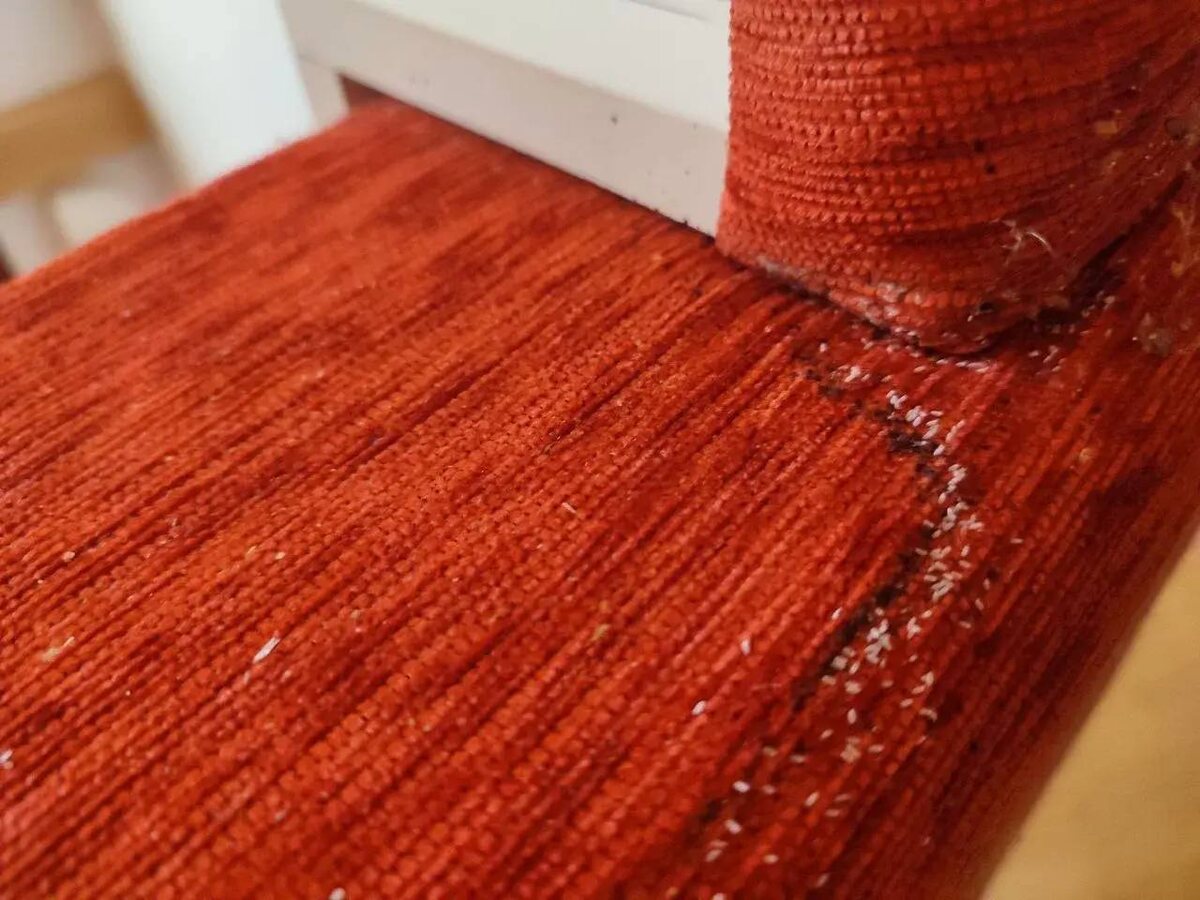 На фото маленькие, почти незаметные, полупрозрачные овальные яйца клопа