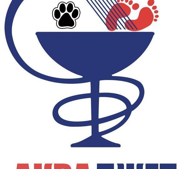 Как я создала методику аквареабилитации для животных