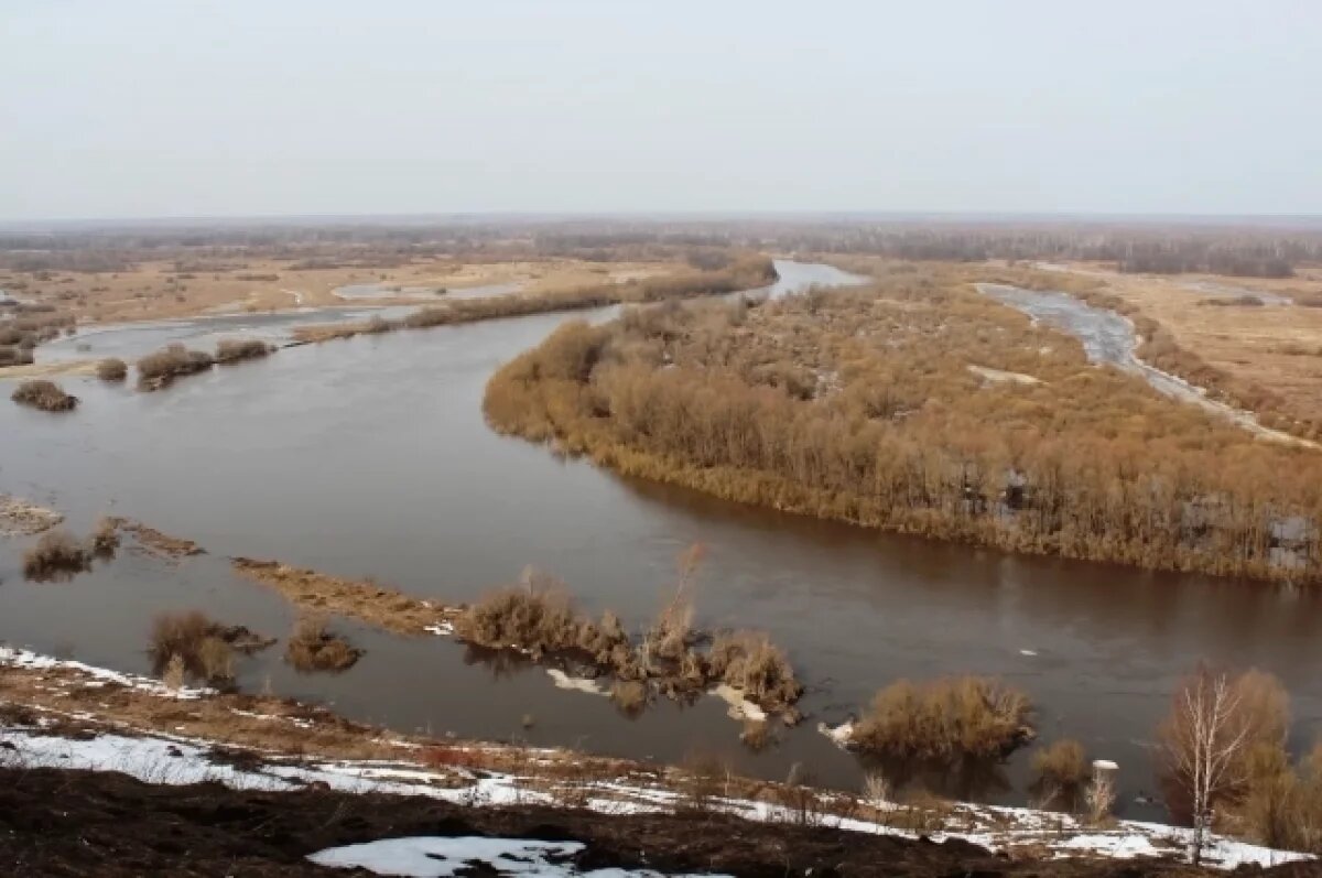   Уровень воды в реках Ишима пока не вызывает тревоги