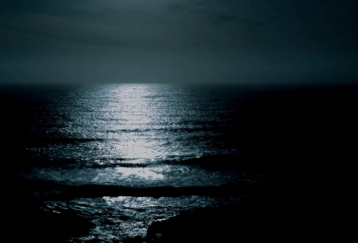 фото: pxhere.com