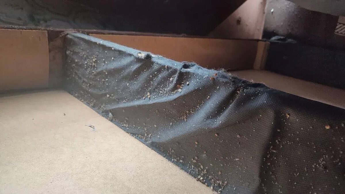 Так выглядят места скопления клопов в мягкой мебели.