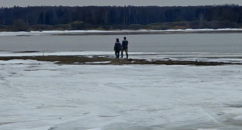    Ольга Панина