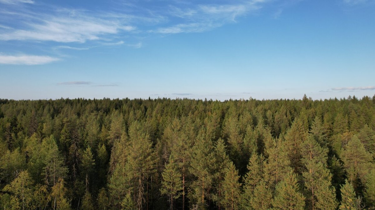    Фото: "Республика"/ Родион Филиппов