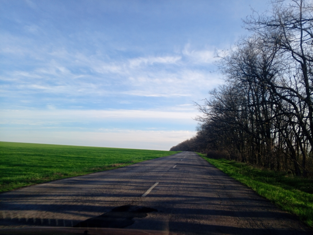 Дорога к балке. Фото авторов