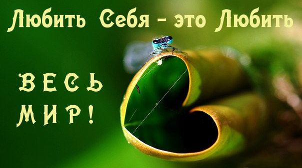 Только свет твоей любви сможет тучи все пройти! А можно сказать - развести, но смысл будет совершенно другой.
Развести руками легко, а пройти трудно. Свет рассеивается.
