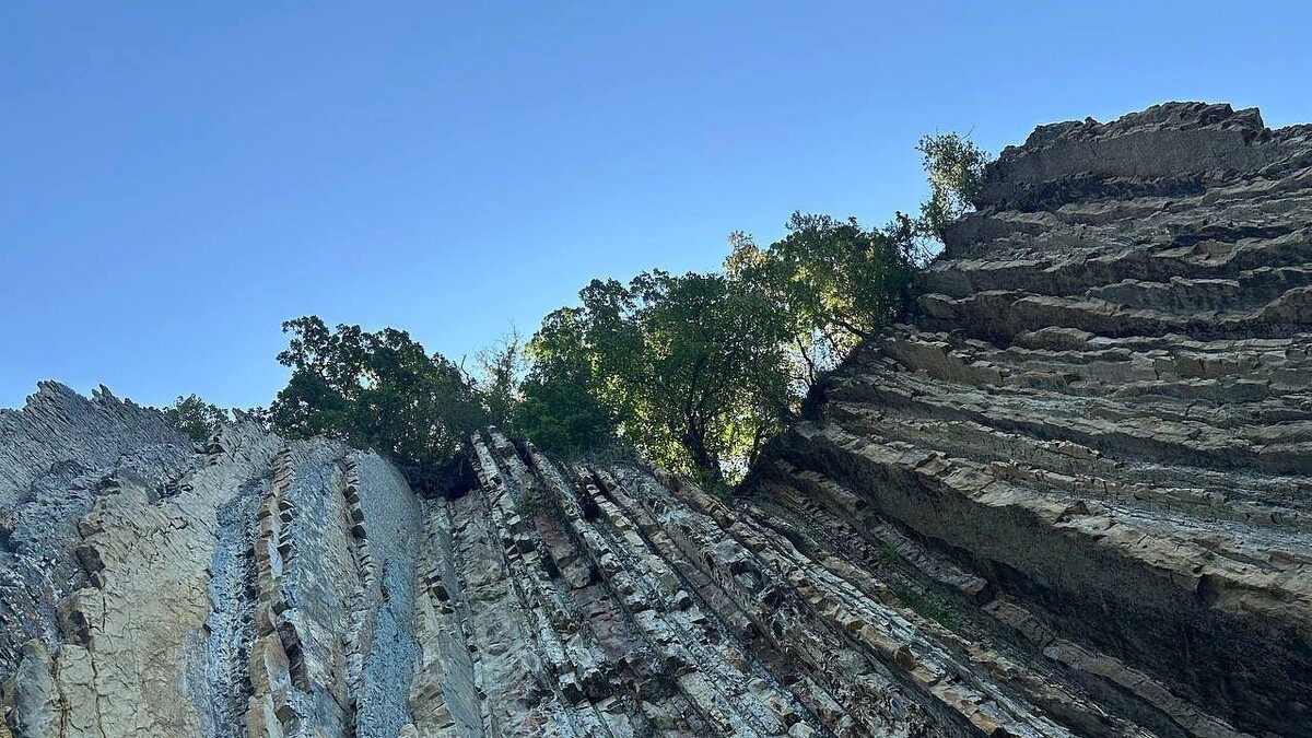    Фото: телеканал «Краснодар»