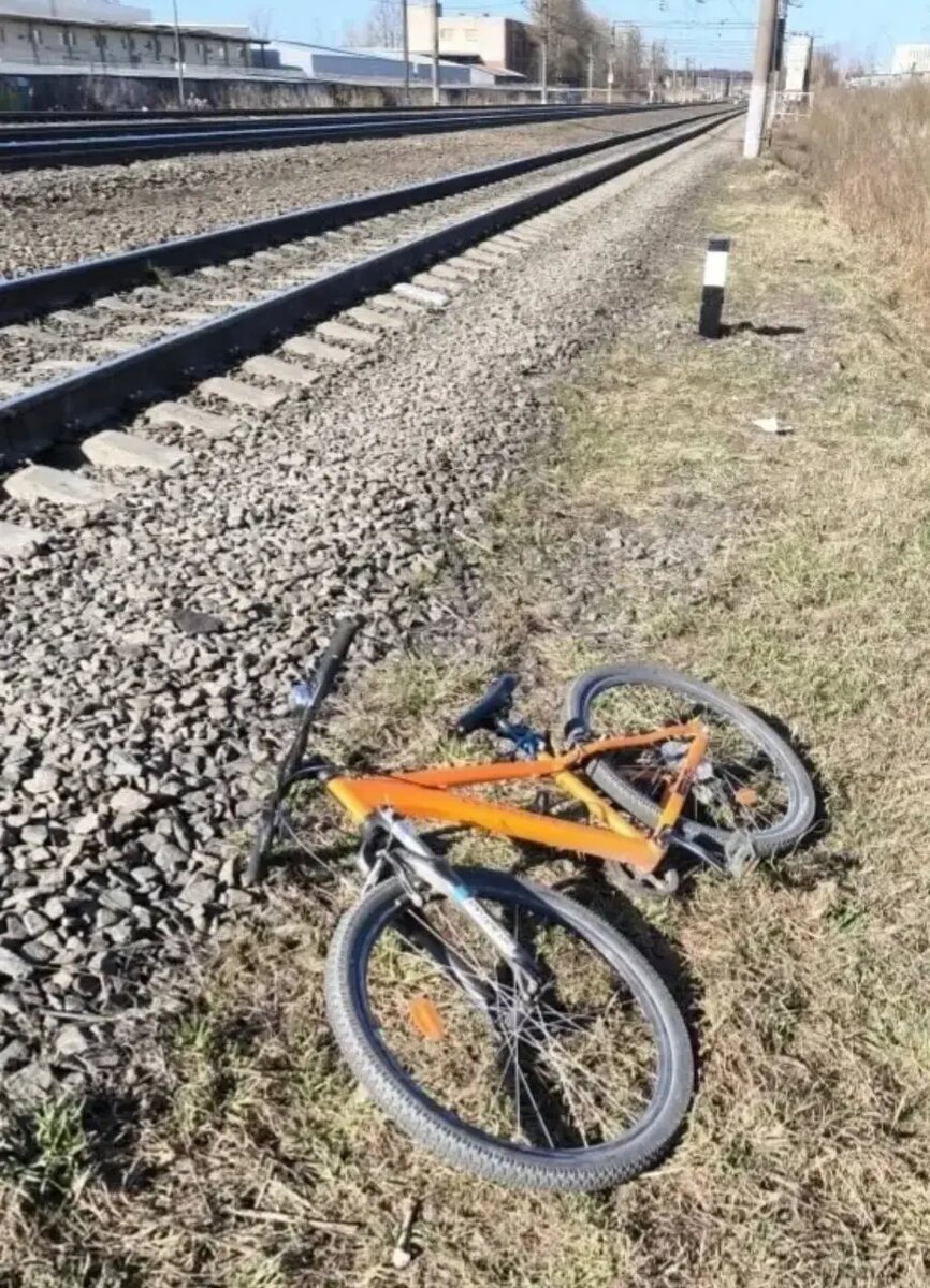    Фото: пресс-служба ГУ Росгвардии по Петербургу и Ленобласти