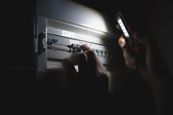 Proxima Studio/Shutterstock/FOTODOM   📷