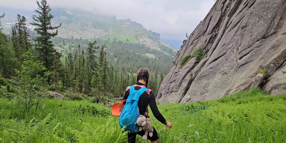 Вор снова украл мои фильмы!..