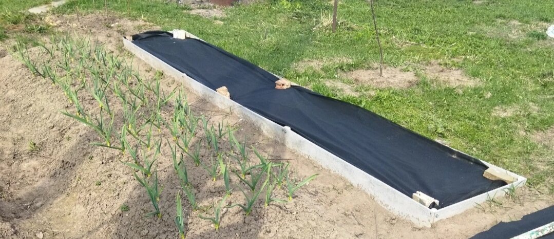 22 апреля 2023 год