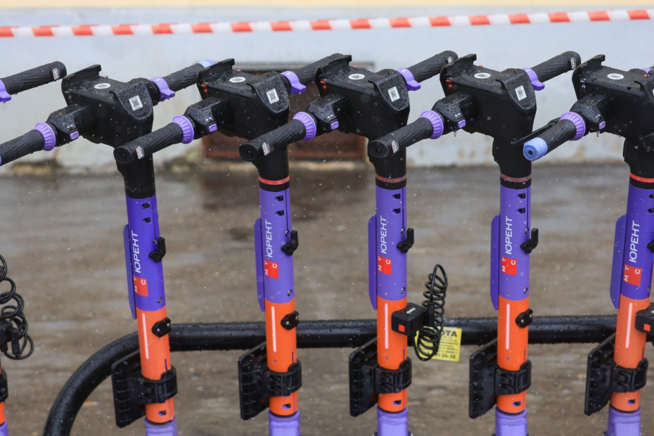    Наталья Шатохина/NEWS.ru