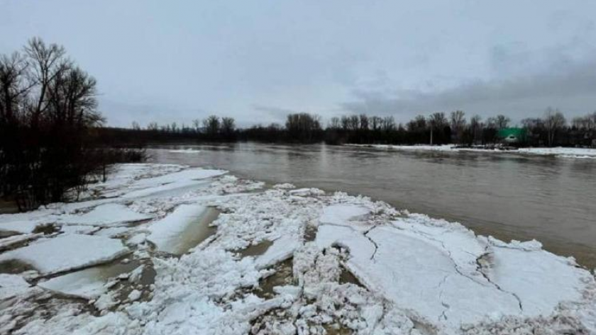    Фото: static.mk.ru с сайта static.mk.ru