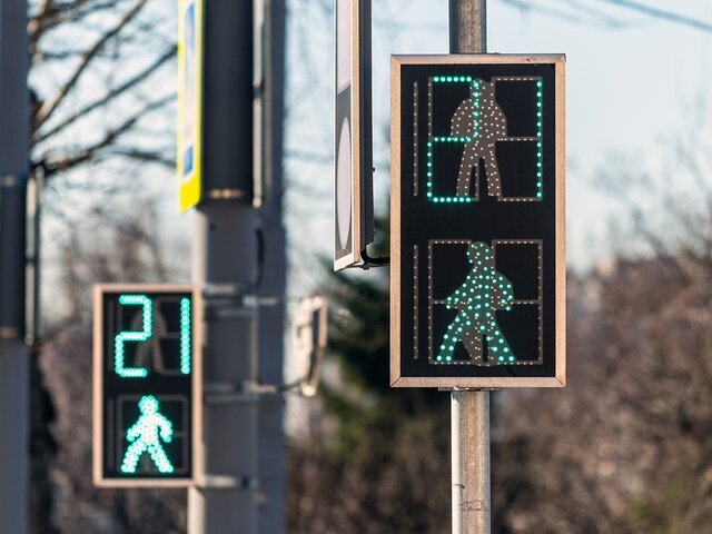    Фото: портал мэра и правительства Москвы/Дарья Мясина