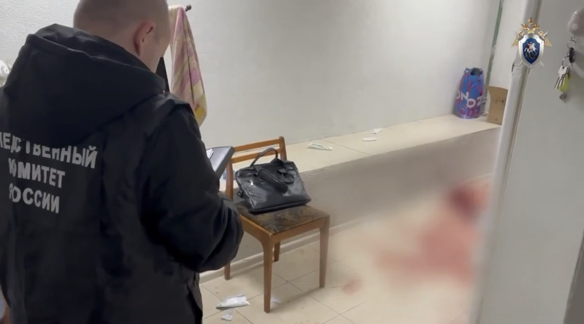    Фото: MAX / СК Подмосковья