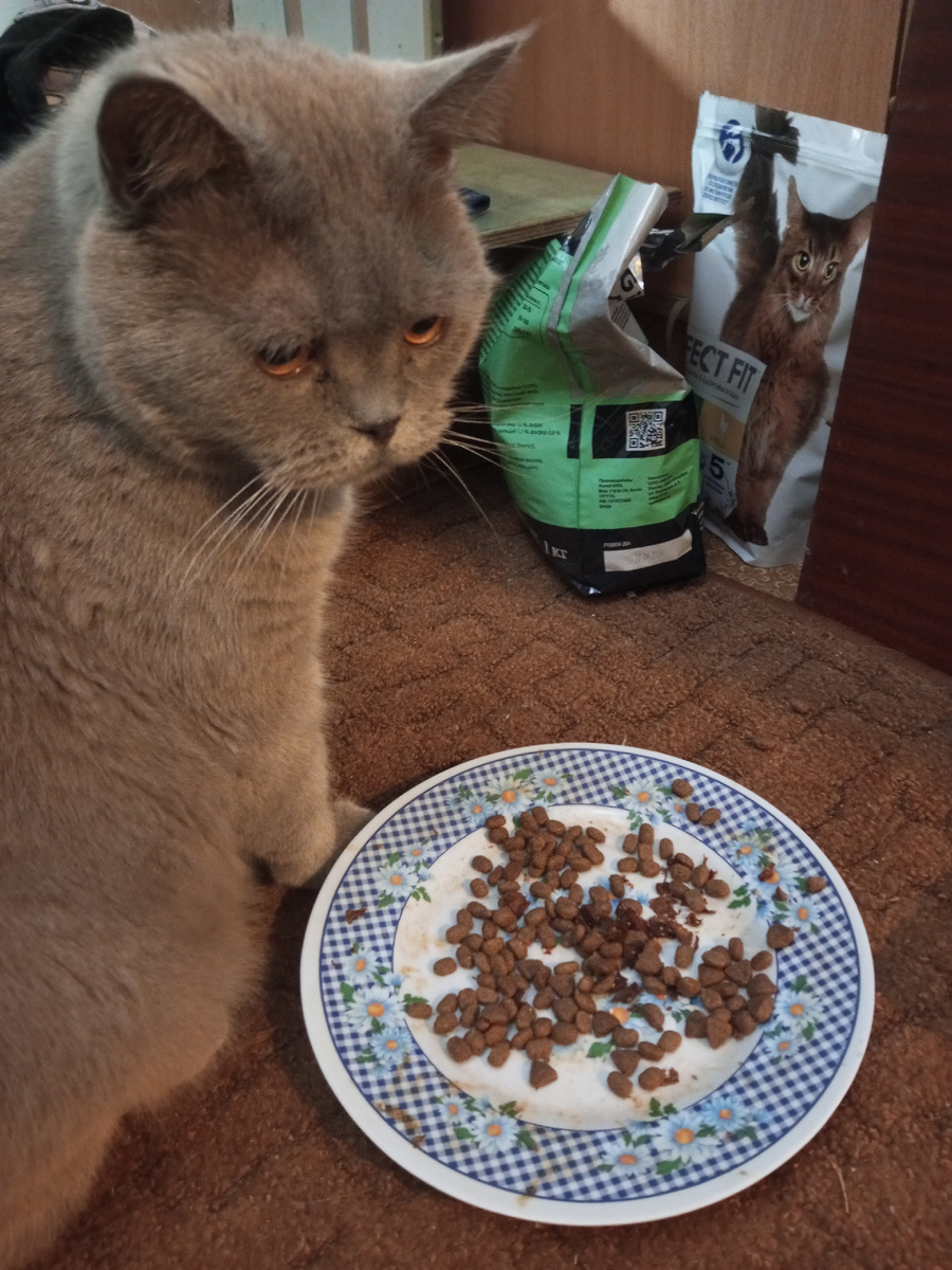 Вот так. Фото архивное