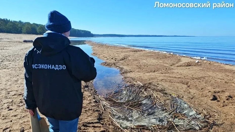 Автор фото: t.me/lenobladminka