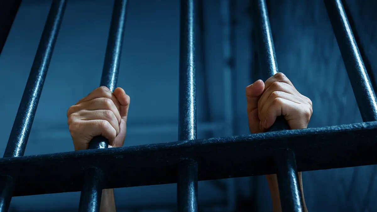    Источник: vm.ru/ Елизавета Кошелева