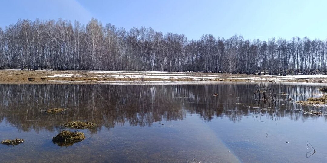 Не запутаться бы в мире "взрослых людей"