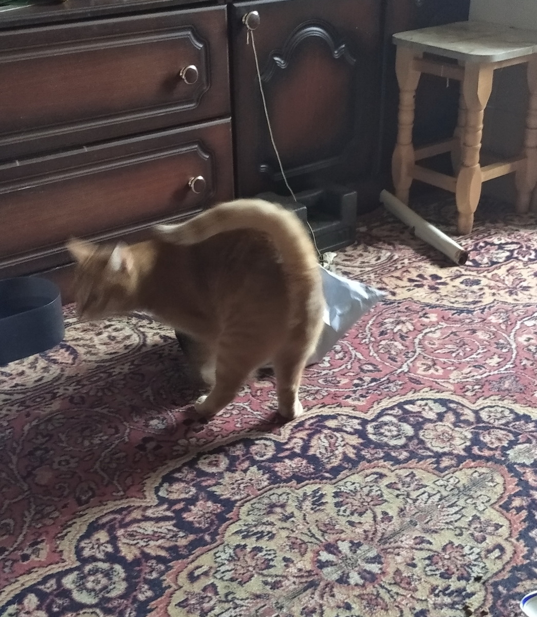 личное фото