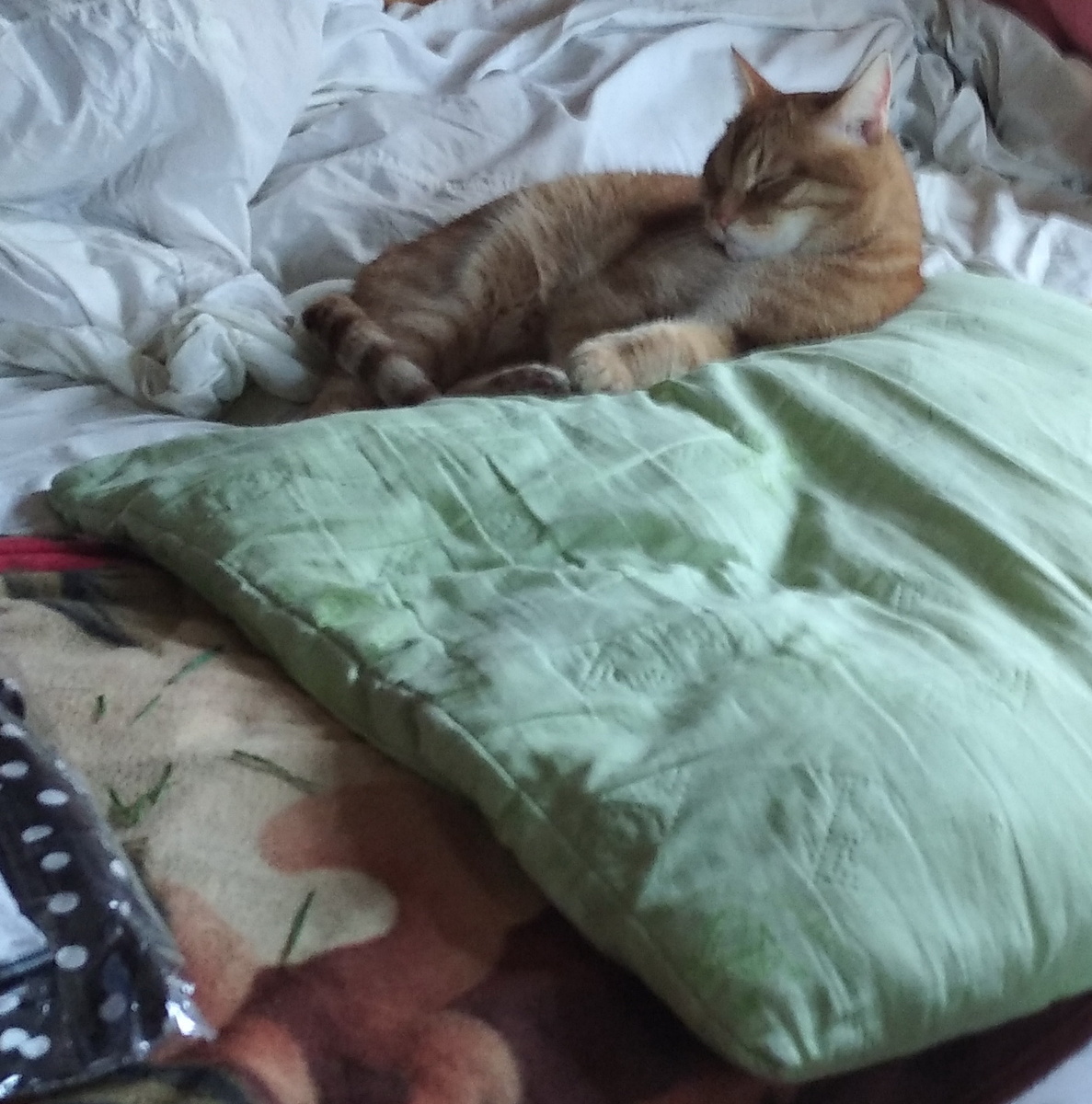 личное фото