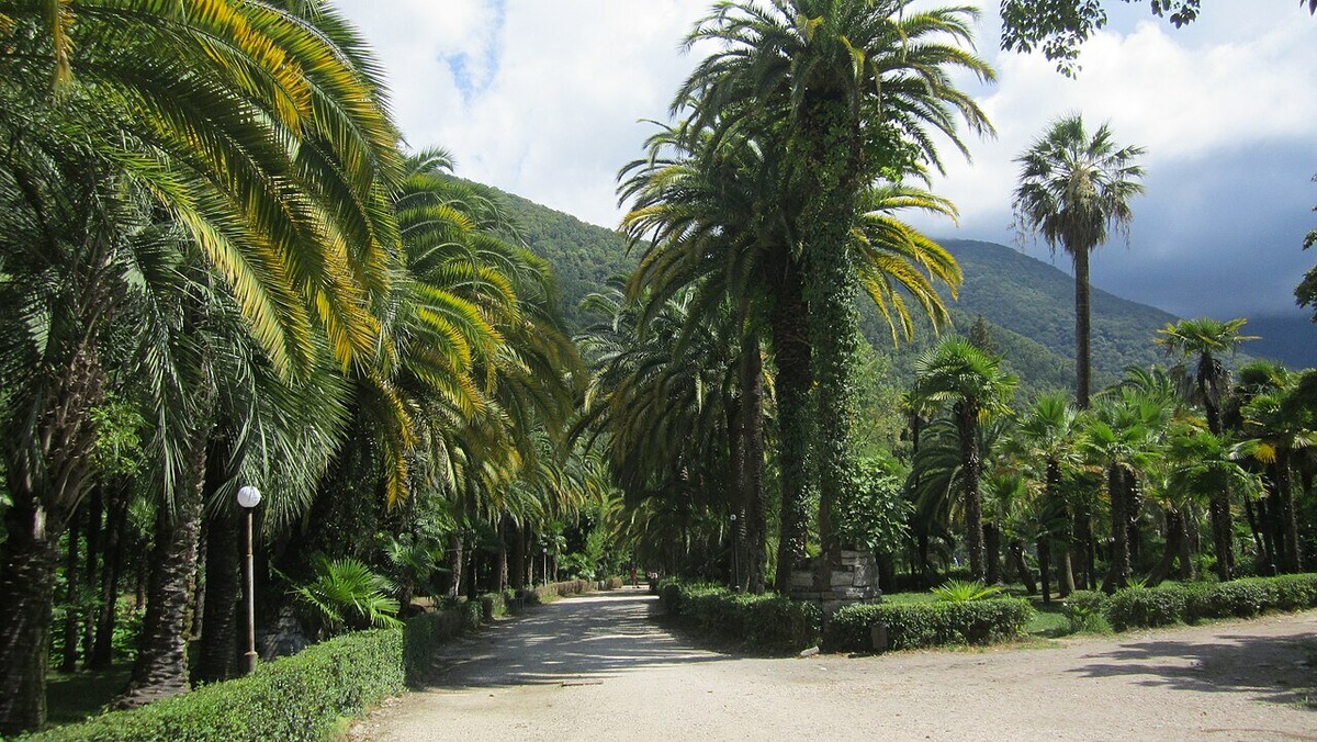 Среди богатой флоры в Приморском парке живут павлины, утки, австралийские лебеди и золотые рыбки, привезённые из Китая. Фото: ZIUr / Wikimedia