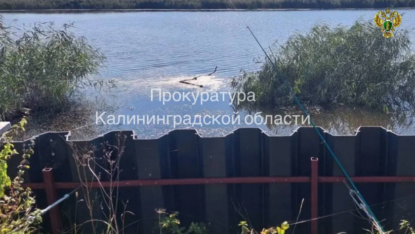    Прокуратура Калининградской области